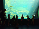 Kinder+stehen+vor+Aquarium